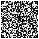 QR code with Precise Painting contacts