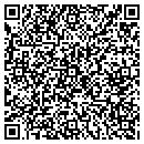 QR code with Project Chess contacts