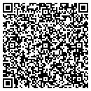 QR code with Pyramid Engineers contacts