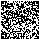 QR code with Cyberneteks contacts