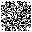 QR code with Pueblo Medical Imaing contacts