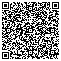 QR code with N-Comm contacts