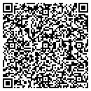 QR code with BIRZONES.COM contacts