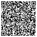 QR code with Magos contacts