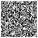 QR code with Chapin Enterprises contacts