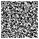 QR code with Pyro Records contacts