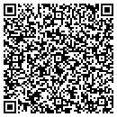 QR code with Professional Sound contacts