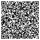 QR code with Cynthia J Rice contacts