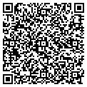 QR code with Nevsys contacts