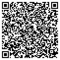 QR code with Amsoil contacts