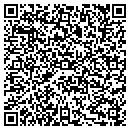 QR code with Carson Valley Power Wash contacts