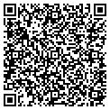 QR code with DMW Inc contacts