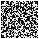 QR code with Pro Insurance contacts
