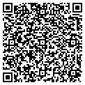 QR code with Angfu contacts