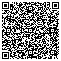QR code with Infinet contacts