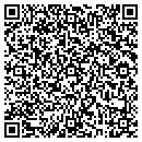 QR code with Prins Insurance contacts