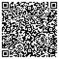 QR code with Talbots contacts