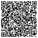 QR code with Avenir contacts