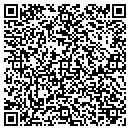 QR code with Capital District Dso contacts