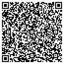 QR code with Project Safe contacts