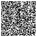 QR code with Kodiak contacts