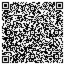 QR code with Public Abstract Corp contacts