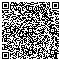 QR code with Attic contacts