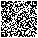 QR code with Tsg Reporting contacts