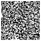 QR code with Blue Ribbon Travel Inc contacts