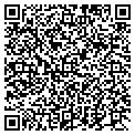QR code with Salon Identity contacts