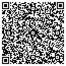 QR code with Precision Services contacts