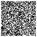 QR code with Catskill Construction contacts