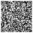 QR code with Cyberrwaves Net Inc contacts