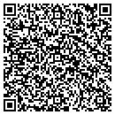 QR code with Pulse Electric contacts