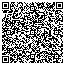 QR code with Premier Components contacts