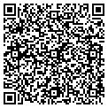 QR code with Paws contacts