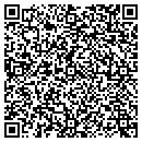 QR code with Precision Auto contacts