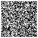 QR code with Pros From Dover LLC contacts