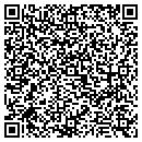 QR code with Project D O C C Inc contacts