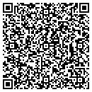 QR code with Cool Lines U S A I NC contacts