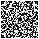 QR code with Pulse Combustion Inc contacts