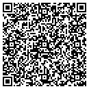 QR code with Cubic Science Inc contacts