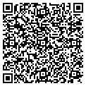 QR code with SFG LLC contacts