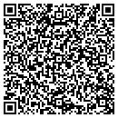 QR code with Pullano & Co contacts