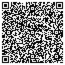 QR code with Chenango Valley Tech Inc contacts