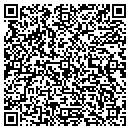 QR code with Pulvercom Inc contacts