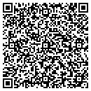QR code with Critical Eye Design contacts