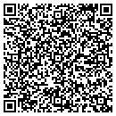 QR code with Catskill Valley Pool contacts