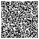 QR code with Pyramid Painters contacts