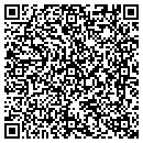 QR code with Process Solutions contacts